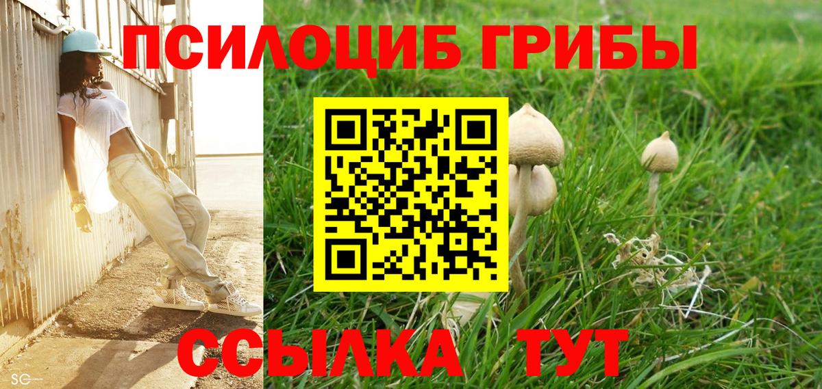 Галлюциногенные грибы прущие грибы Чистополь