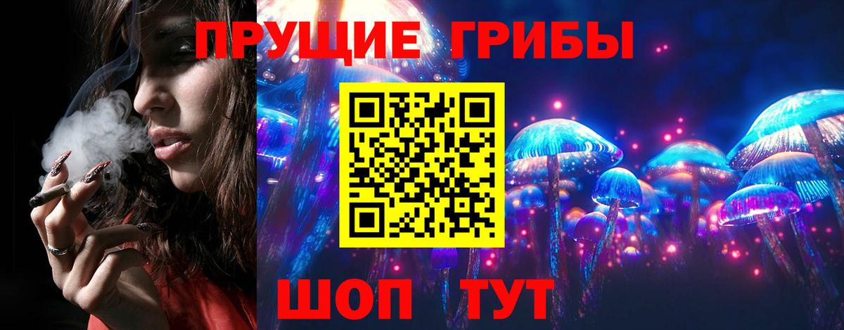 Чистополь  что такое   Вход с VPN  Псилоцибиновые грибы Psilocybe  Галлюциногенные грибы MAGIC MUSHROOMS 